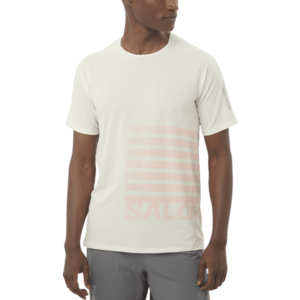 Rövid ujjú póló Salomon SENSE AERO SS TEE GFX M kép