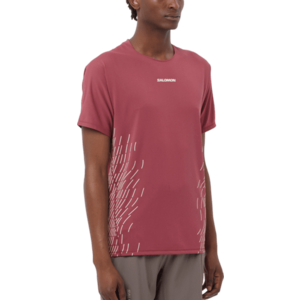 Rövid ujjú póló Salomon SENSE AERO SS TEE GFX M kép