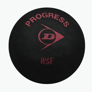 Dunlop Sq Progress Squash labda 1db fekete 700103 (Progress red dot 700103) kép