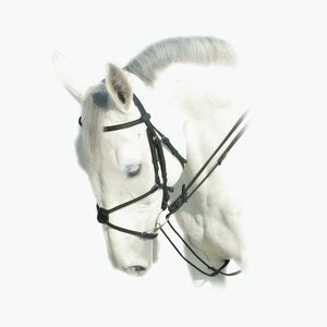 E50 fekete Prestige Italia vezet (E50) kép