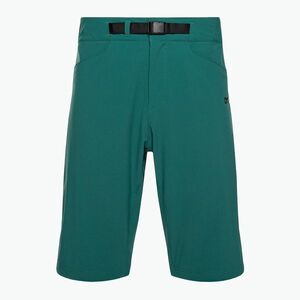 Férfi Oakley Drop In MTB rövidnadrág zöld FOA403124 (Drop In MTB FOA403124) kép