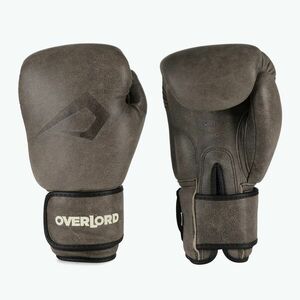 Overlord Old School barna bokszkesztyűk 100006-BR/10OZ (Old School 100006-BR) kép
