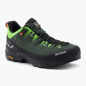 Férfi túrabakancs Salewa Alp Trainer 2 zöld 00-0000061402 (Alp Trainer 2 00-0000061402) kép