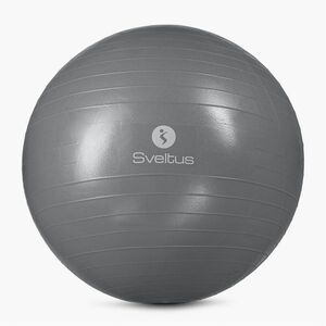 Sveltus Gymball szürke 0440 (Gymball 0440) kép
