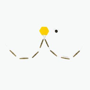 Avid Carp Naked Chod gyöngyök 8 db. Camo A0640039 (Naked Chod Beads A0640039) kép