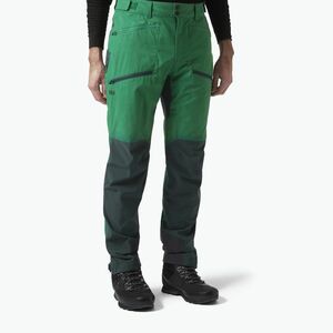 Helly Hansen férfi trekking nadrág Verglas Tur 486 zöld 63000 (Verglas Tur 63000_486) kép