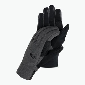Férfi túrakesztyűk The North Face Apex Insulated Etip szürke NF0A7RHGDYZ1 (Apex Insulated Etip NF0A7RHGDYZ1) kép