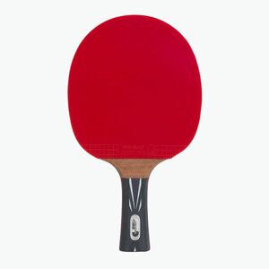 DONIC Schildkröt Top Team 800 754198 asztalitenisz ütő (Top Team 800 754198) kép