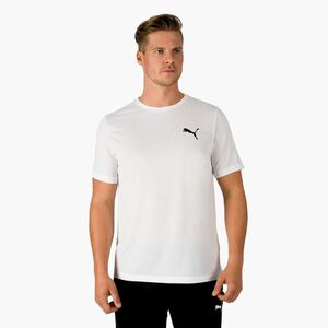 Férfi tréning póló Puma Active Small Logo fehér 586725 (Active Small Logo 586725 02) kép