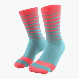 DYNAFIT Live To Ride kék/rózsaszín kerékpáros zokni 08-0000071746 (Live To Ride 08-0000071746) kép