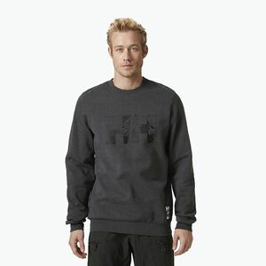 Férfi Helly Hansen Arctic Ocean pulóver szürke 30364_980 (Arctic Ocean Sweater 980 30364_980) kép