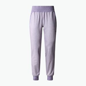 Női trekking nadrág The North Face Juniper Basin Jogger lila NF0A7WSQN581 (Juniper Basin Jogger NF0A7WSQN581) kép