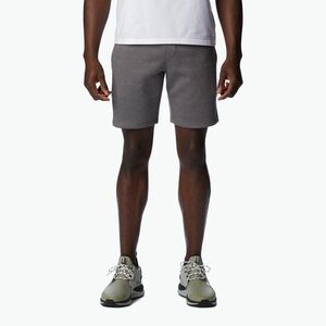 Férfi Columbia Logo Fleece szürke trekkingnadrág 1884601023 (Logo Fleece 1884601) kép