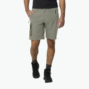 Férfi Jack Wolfskin Active Track trekkingnadrág zöld 1503791 (Active Track 1503791) kép