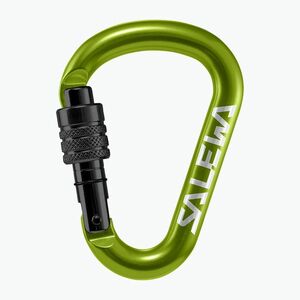 Salewa HMS Screw G2 karabiner zöld 00-0000001525 (HMS Screw G2 00-0000001525) kép