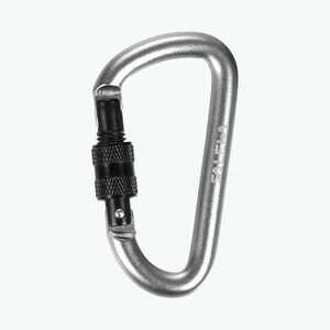 Salewa D-alakú karbiner csavarral, ezüst 00-0000034102 (D-Shape Carbiner With Screw 999 00-0000034102) kép