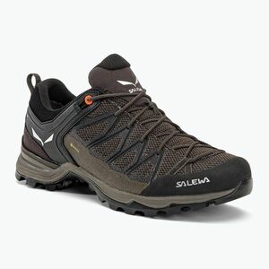Salewa MTN Trainer Lite GTX férfi túrabakancs barna 00-0000061361 (MTN Trainer Lite GTX 00-0000061361) kép