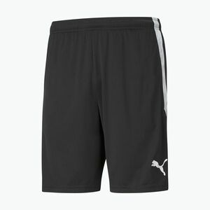 Férfi PUMA Teamliga edzős futballnadrág fekete 657249 03 (Teamliga Training 657249 03) kép