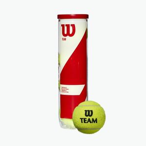 Wilson Team gyakorló teniszlabdák 4 db sárga WRT111900 (Team Practice 4B WRT111900) kép