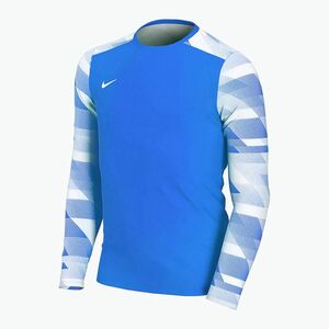 Nike Dry-Fit Park IV gyermek labdarúgó pulóver kék CJ6072-463 (Dri-Fit Park IV Goalkeeper CJ6072) kép