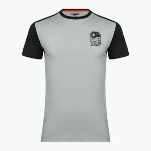 Férfi DYNAFIT Transalper Világosszürke túra póló 08-0000071298 (Transalper Light 08-0000071298) kép