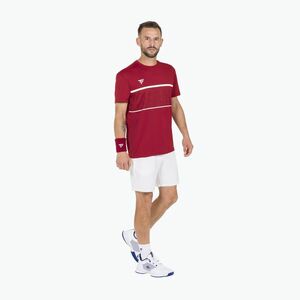 Férfi tenisz póló Tecnifibre Team Tech Tee piros 22TETECR33 (Team Tech Tee 22TETECR33) kép