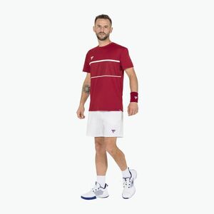 Férfi tenisznadrág Tecnifibre Team fehér 23SHOMWH35 (Team 23SHOMWH35) kép