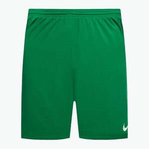 Férfi Nike Dry-Fit Park III futballnadrág zöld BV6855-302 (Dri-Fit Park III Knit Short BV6855) kép