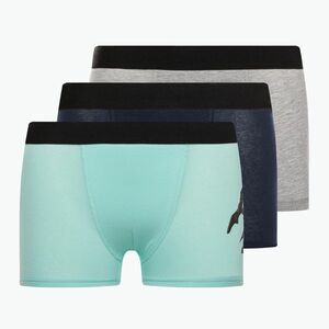 LEGO Lwbo 300 gyermek boxeralsó 3 pár szürke/zöld/kék 12010786 (Lwbo 300 12010786) kép