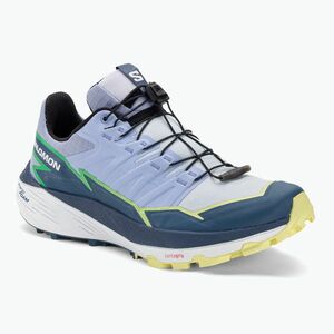 Salomon Thundercross heather/flint stone/charlock női futócipő (Thundercross L47297900) kép