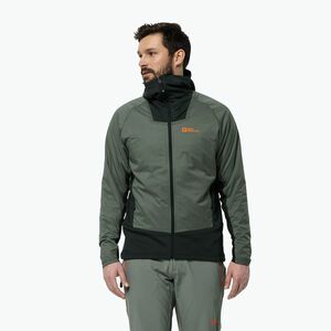 Jack Wolfskin Alpspitze Ins Hybrid Hybrid hedge zöld férfi esőkabát (Alpspitze Ins Hybrid 1207811) kép