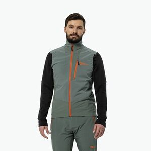 Jack Wolfskin férfi túrázó ujjatlan Alpspitze sövény zöld (Alpspitze 1307741_4311_004) kép
