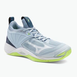 Férfi röplabda cipő Mizuno Wave Momentum 2 heather/white/neo lime (Wave Momentum 2 V1GC211202) kép