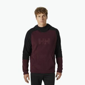 Helly Hansen Logo Hoodie - Férfi pulóver kép