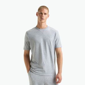 Diadora Athletic Logo magasított melange póló (Athletic Logo 502.179926) kép