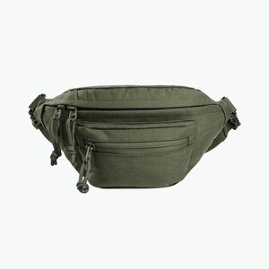 Övtáska Tasmanian Tiger Modular Hip Bag 1, 5 l olive (Modular Hip Bag 7185.331) kép