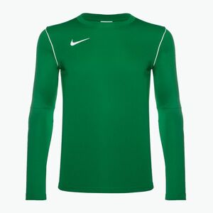 Férfi Nike Dri-FIT Park 20 Crew fenyő zöld/fehér hosszú ujjú futballcipő (Dri-FIT Park 20 Crew BV6875-302) kép