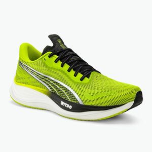 Férfi futócipő PUMA Velocity Nitro 3 Psychedelic Rush green (Velocity Nitro 3 Psychedelic Rush 380080-01) kép