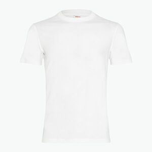 Férfi Wilson Team Graphic világos fehér teniszpóló (Team Graphic WM00290411WTA) kép