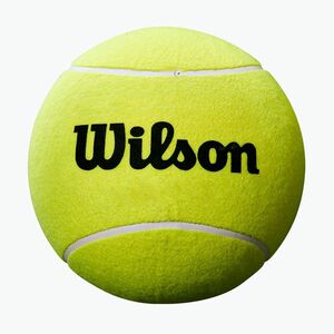 Wilson Roland Garros Mini Jumbo 5" sárga, autogramos teniszlabda (Roland Garros 5 Mini Jumbo WRT1416YD) kép