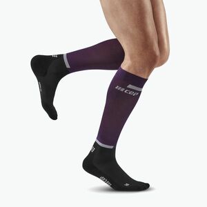 Férfi kompressziós futó zoknimęskie CEP Tall 4.0 violet/black (Tall 4.0 WP30SR4) kép