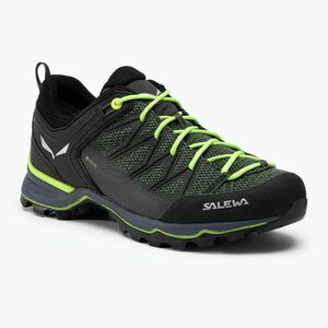 Férfi trekking cipő Salewa MTN Trainer Lite GTX myrtle/ombre blue (MTN Trainer Lite GTX 00-0000061361) kép