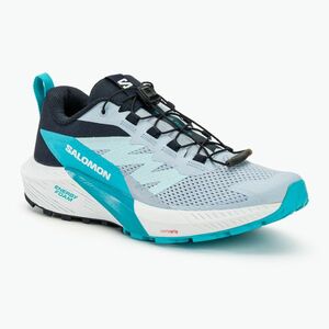 női futócipő Salomon Sense Ride 5 cashmere blue/carbon/peacock blue (Sense Ride 5 L47458900) kép