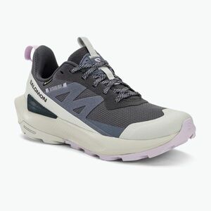 Női túracipő Salomon Elixir Activ GTX india ink/glacier gray/orchid petal (Elixir Activ GTX L47526500) kép