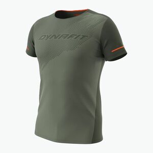 Férfii futópóló DYNAFIT Alpine 2 sage (Alpine 2 08-0000071456) kép