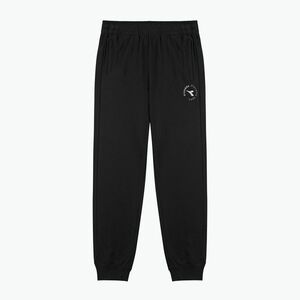 Férfi Diadora Essential Sport nadrág nero (Pants Essential Sport 102.180370) kép