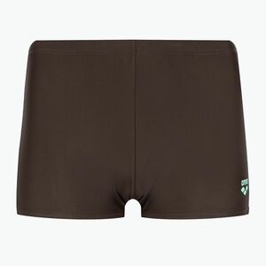 Arena Icons Swim Short Egyszínű szepia/víz boxeralsó (Icons Swim Short Solid 005050/280) kép