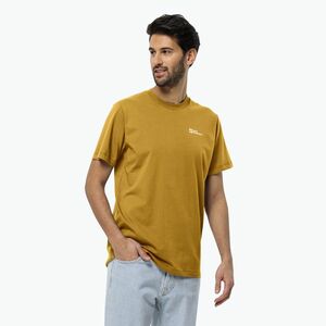 Férfi póló Jack Wolfskin Essential curry (Essential 1808382) kép