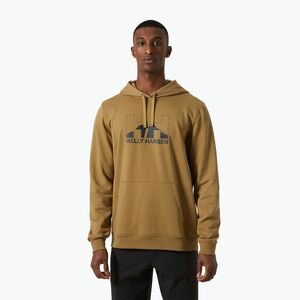 Férfi pulóver Helly Hansen Nord Graphic Pull Over Hoodie lynx (Nord Graphic Pullover Hoodie 62975_787) kép