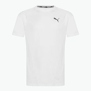 Férfi PUMA Train All Day Tee puma fehér (Train All Day Tee 524916 02) kép